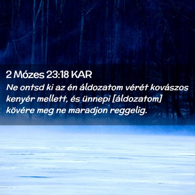 Picture 02 - 2 Mózes 23:18 KAR - Ne ontsd ki az én áldozatom vérét kovászos - Bible Verse Picture