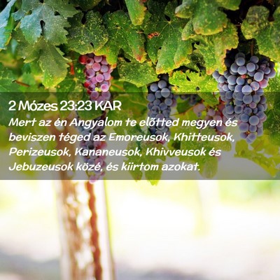 Picture 02 - 2 Mózes 23:23 KAR - Mert az én Angyalom te elõtted megyen és - Bible Verse Picture