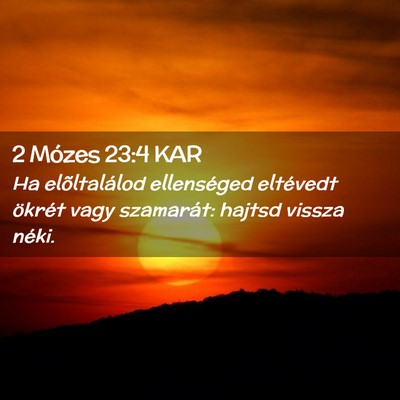 Picture 02 - 2 Mózes 23:4 KAR - Ha elõltalálod ellenséged eltévedt ökrét - Bible Verse Picture