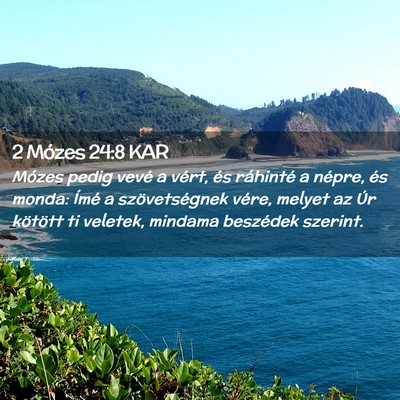 Picture 02 - 2 Mózes 24:8 KAR - Mózes pedig vevé a vért, és ráhinté a - Bible Verse Picture
