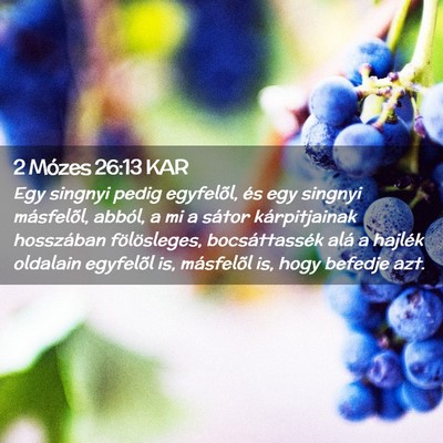 Picture 02 - 2 Mózes 26:13 KAR - Egy singnyi pedig egyfelõl, és egy singnyi - Bible Verse Picture