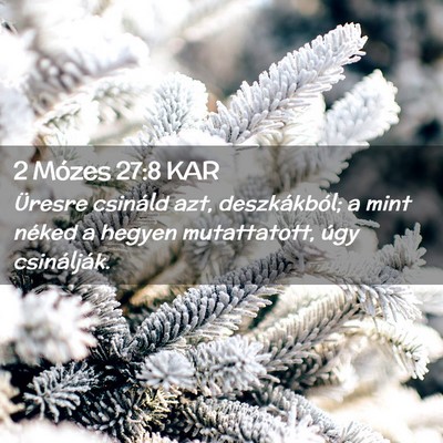 Picture 02 - 2 Mózes 27:8 KAR - Üresre csináld azt, deszkákból; a mint néked - Bible Verse Picture