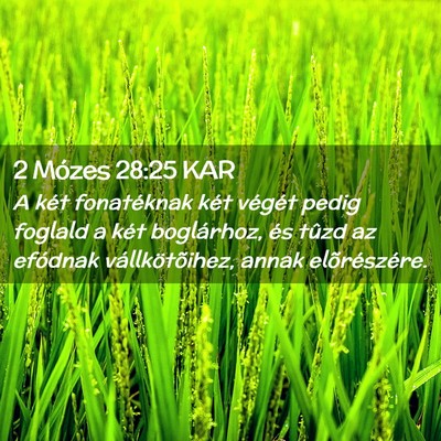 Picture 02 - 2 Mózes 28:25 KAR - A két fonatéknak két végét pedig foglald a - Bible Verse Picture