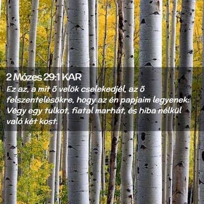Picture 02 - 2 Mózes 29:1 KAR - Ez az, a mit õ velök cselekedjél, az õ - Bible Verse Picture