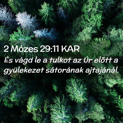Picture 02 - 2 Mózes 29:11 KAR - És vágd le a tulkot az Úr elõtt a gyülekezet - Bible Verse Picture