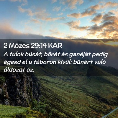 Picture 02 - 2 Mózes 29:14 KAR - A tulok húsát, bõrét és ganéját pedig - Bible Verse Picture