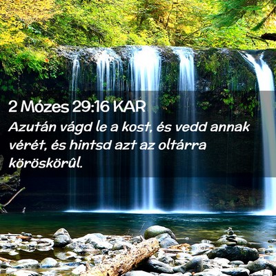 Picture 02 - 2 Mózes 29:16 KAR - Azután vágd le a kost, és vedd annak vérét, - Bible Verse Picture