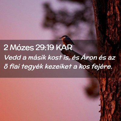 Picture 02 - 2 Mózes 29:19 KAR - Vedd a másik kost is, és Áron és az õ fiai - Bible Verse Picture