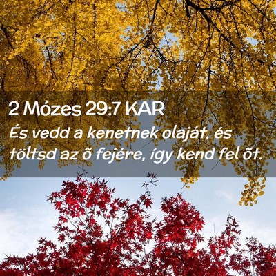 Picture 02 - 2 Mózes 29:7 KAR - És vedd a kenetnek olaját, és töltsd az õ - Bible Verse Picture