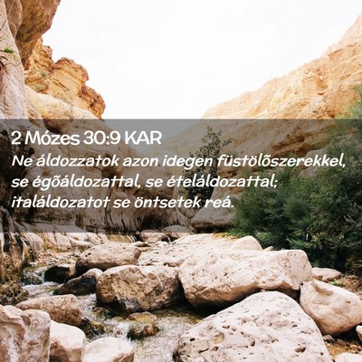 Picture 02 - 2 Mózes 30:9 KAR - Ne áldozzatok azon idegen füstölõszerekkel, - Bible Verse Picture