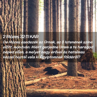 Picture 02 - 2 Mózes 32:11 KAR - De Mózes esedezék az Úrnak, az õ Istenének - Bible Verse Picture