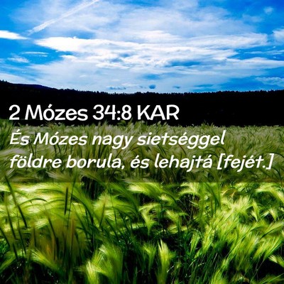 Picture 02 - 2 Mózes 34:8 KAR - És Mózes nagy sietséggel földre borula, és - Bible Verse Picture