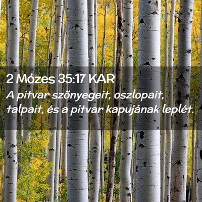 Picture 02 - 2 Mózes 35:17 KAR - A pitvar szõnyegeit, oszlopait, talpait, és a - Bible Verse Picture