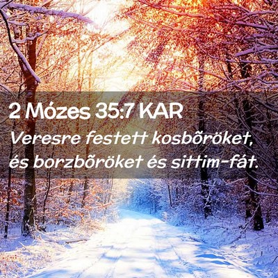 Picture 02 - 2 Mózes 35:7 KAR - Veresre festett kosbõröket, és borzbõröket - Bible Verse Picture