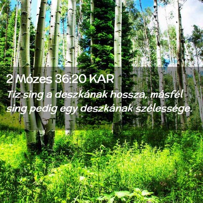 Picture 02 - 2 Mózes 36:20 KAR - Tíz sing a deszkának hossza, másfél sing - Bible Verse Picture