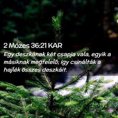 Picture 02 - 2 Mózes 36:21 KAR - Egy deszkának két csapja vala, egyik a - Bible Verse Picture