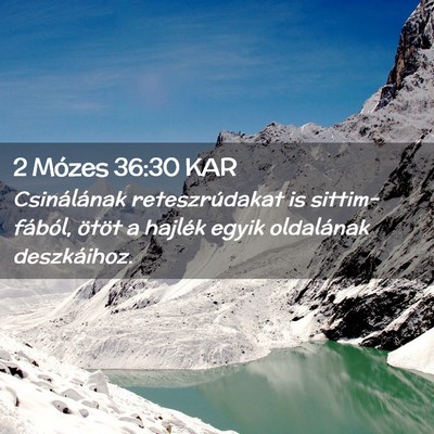 Picture 02 - 2 Mózes 36:30 KAR - Csinálának reteszrúdakat is sittim-fából, - Bible Verse Picture