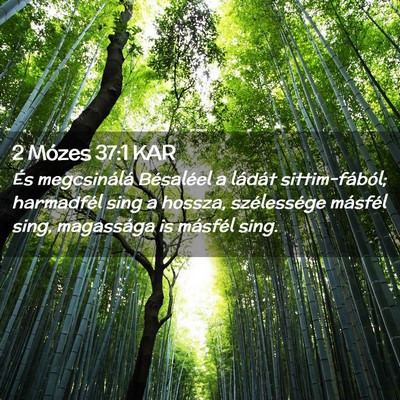 Picture 02 - 2 Mózes 37:1 KAR - És megcsinálá Bésaléel a ládát - Bible Verse Picture
