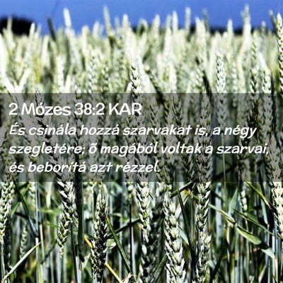 Picture 02 - 2 Mózes 38:2 KAR - És csinála hozzá szarvakat is, a négy - Bible Verse Picture