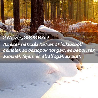 Picture 02 - 2 Mózes 38:28 KAR - Az ezer hétszáz hetvenöt [siklusból] - Bible Verse Picture