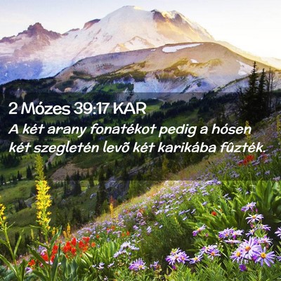 Picture 02 - 2 Mózes 39:17 KAR - A két arany fonatékot pedig a hósen két - Bible Verse Picture