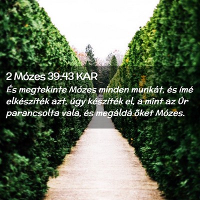 Picture 02 - 2 Mózes 39:43 KAR - És megtekinte Mózes minden munkát, és ímé - Bible Verse Picture