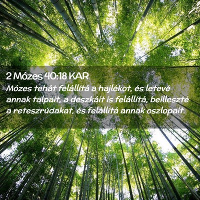 Picture 02 - 2 Mózes 40:18 KAR - Mózes tehát felállítá a hajlékot, és - Bible Verse Picture