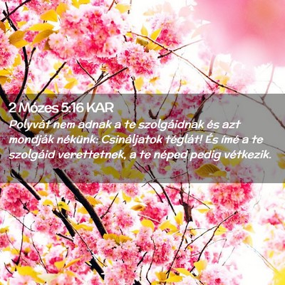 Picture 02 - 2 Mózes 5:16 KAR - Polyvát nem adnak a te szolgáidnak és azt - Bible Verse Picture
