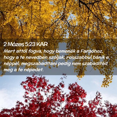 Picture 02 - 2 Mózes 5:23 KAR - Mert attól fogva, hogy bemenék a Faraóhoz, - Bible Verse Picture