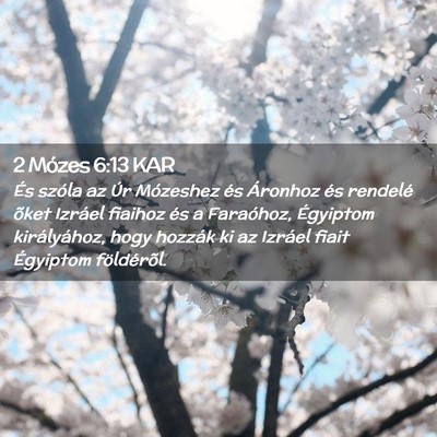 Picture 02 - 2 Mózes 6:13 KAR - És szóla az Úr Mózeshez és Áronhoz és - Bible Verse Picture