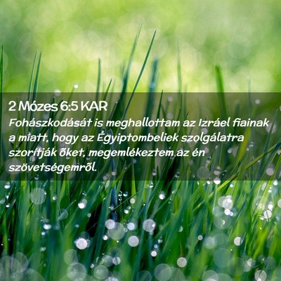 Picture 02 - 2 Mózes 6:5 KAR - Fohászkodását is meghallottam az Izráel - Bible Verse Picture