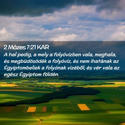 Picture 02 - 2 Mózes 7:21 KAR - A hal pedig, a mely a folyóvízben vala, - Bible Verse Picture