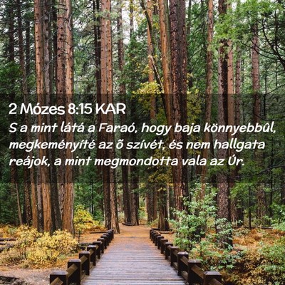 Picture 02 - 2 Mózes 8:15 KAR - S a mint látá a Faraó, hogy baja könnyebbûl, - Bible Verse Picture