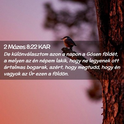 Picture 02 - 2 Mózes 8:22 KAR - De különválasztom azon a napon a Gósen - Bible Verse Picture