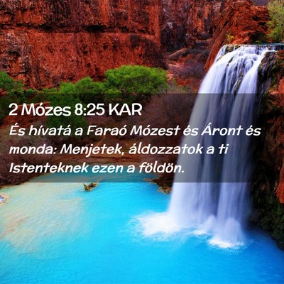Picture 02 - 2 Mózes 8:25 KAR - És hívatá a Faraó Mózest és Áront és - Bible Verse Picture
