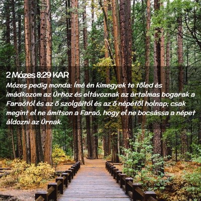 Picture 02 - 2 Mózes 8:29 KAR - Mózes pedig monda: Ímé én kimegyek te tõled - Bible Verse Picture