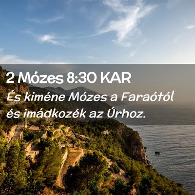 Picture 02 - 2 Mózes 8:30 KAR - És kiméne Mózes a Faraótól és imádkozék - Bible Verse Picture