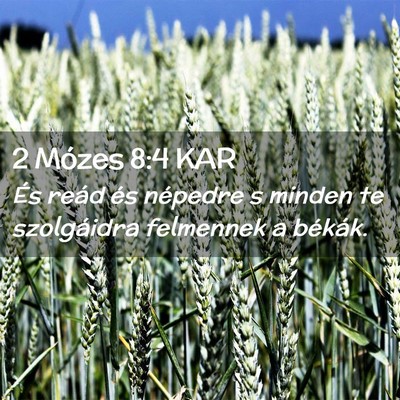Picture 02 - 2 Mózes 8:4 KAR - És reád és népedre s minden te szolgáidra - Bible Verse Picture