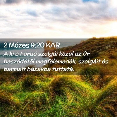 Picture 02 - 2 Mózes 9:20 KAR - A ki a Faraó szolgái közûl az Úr - Bible Verse Picture