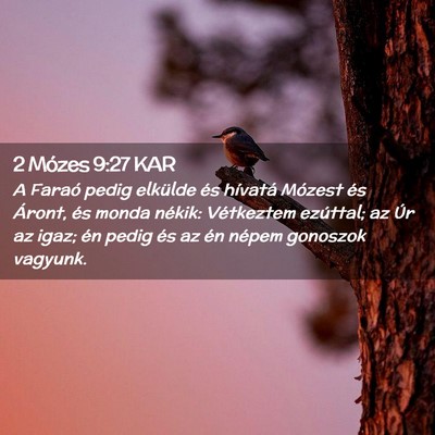 Picture 02 - 2 Mózes 9:27 KAR - A Faraó pedig elkülde és hívatá Mózest és - Bible Verse Picture