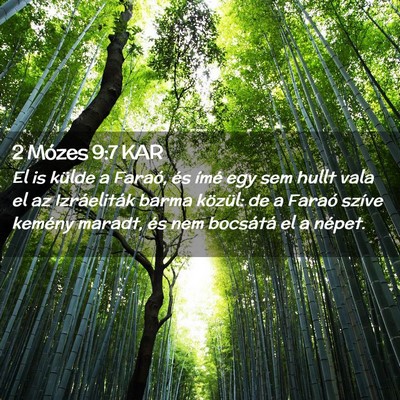 Picture 02 - 2 Mózes 9:7 KAR - El is külde a Faraó, és ímé egy sem hullt - Bible Verse Picture