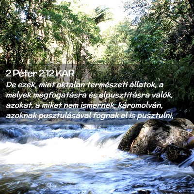 Picture 02 - 2 Péter 2:12 KAR - De ezek, mint oktalan természeti állatok, a - Bible Verse Picture