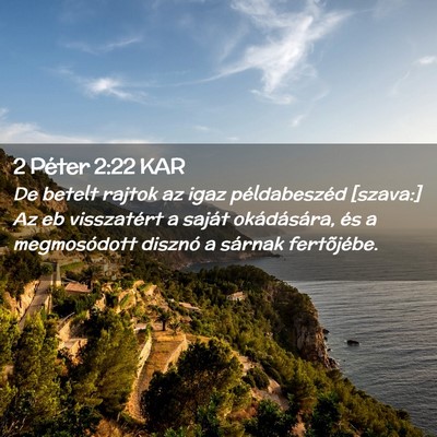 Picture 02 - 2 Péter 2:22 KAR - De betelt rajtok az igaz példabeszéd [szava:] - Bible Verse Picture