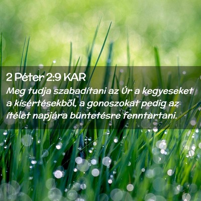 Picture 02 - 2 Péter 2:9 KAR - Meg tudja szabadítani az Úr a kegyeseket a - Bible Verse Picture