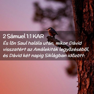 Picture 02 - 2 Sámuel 1:1 KAR - És lõn Saul halála után, mikor Dávid - Bible Verse Picture