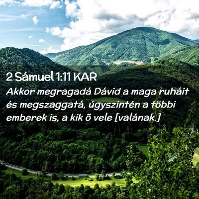 Picture 02 - 2 Sámuel 1:11 KAR - Akkor megragadá Dávid a maga ruháit és - Bible Verse Picture