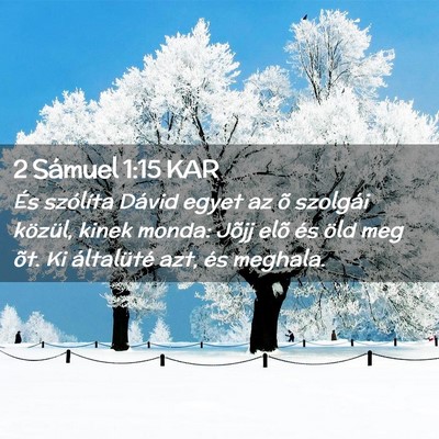 Picture 02 - 2 Sámuel 1:15 KAR - És szólíta Dávid egyet az õ szolgái - Bible Verse Picture