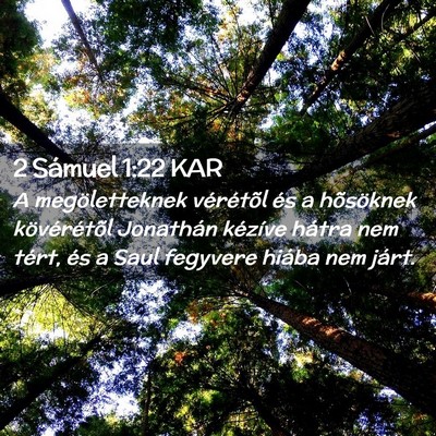 Picture 02 - 2 Sámuel 1:22 KAR - A megöletteknek vérétõl és a hõsöknek - Bible Verse Picture