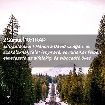 Picture 02 - 2 Sámuel 10:4 KAR - Elfogatá azért Hánon a Dávid szolgáit, és - Bible Verse Picture