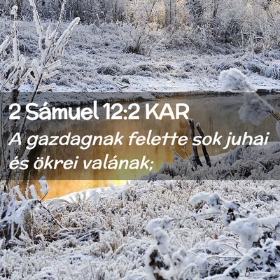 Picture 02 - 2 Sámuel 12:2 KAR - A gazdagnak felette sok juhai és ökrei - Bible Verse Picture